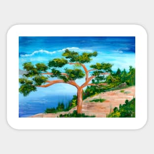 Solitary pine tree at the beach in coastal landscape Sticker